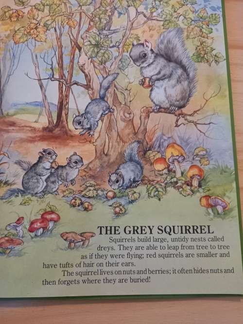 Bundel of 7 English Children's books age 5-8