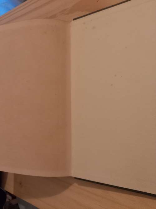 Paul Kruger - Van die Wieg tot die Graf deur CJ Uys