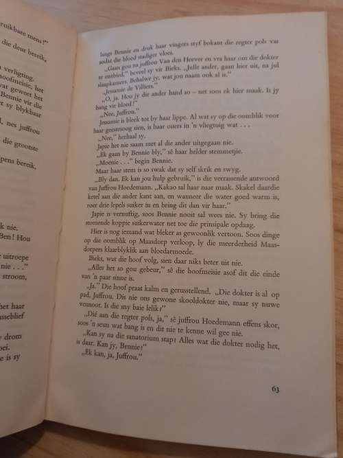 Ontgroening op Maasdorp Nr 11 deur Stella Blakemore (1972)