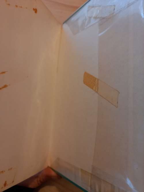 Ontgroening op Maasdorp Nr 11 deur Stella Blakemore (1972)