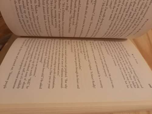 Wild Fire by Nelson Demille