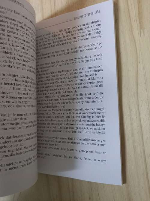 Maasdorp se redaktrises (Nr 13) deur Stella Blakemore (2de uitgawe, 1ste druk 2006)