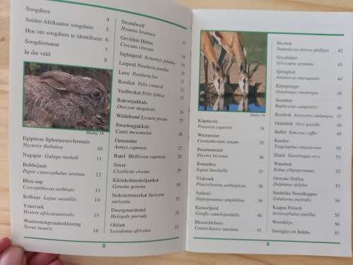 3 SASOL VELDGIDSE: Soogdiere/Slange & Reptiele / Die Weer