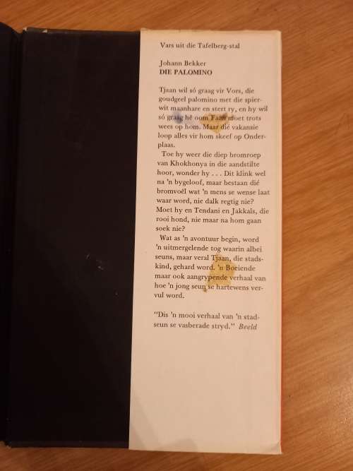 Lennet en die geheimsinnige meneer T deur Luitenant X (1ste uitgawe 1980)