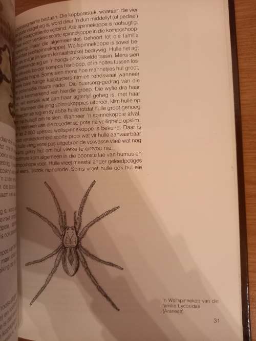 Die Insig-Reeks - Lewe in Kompos deur JGH Londt (1ste druk, 1ste uitgawe 1988)