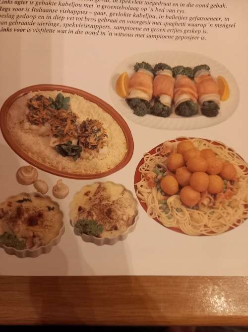 Die Praktiese Kookgids (versorg deur Annette Human