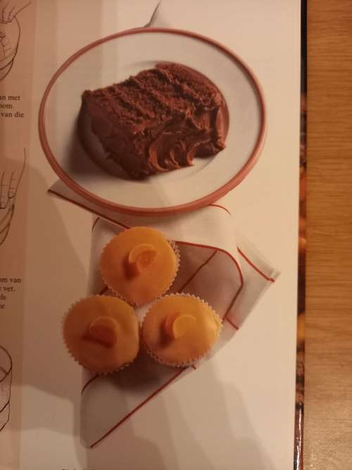 Die Praktiese Kookgids (versorg deur Annette Human