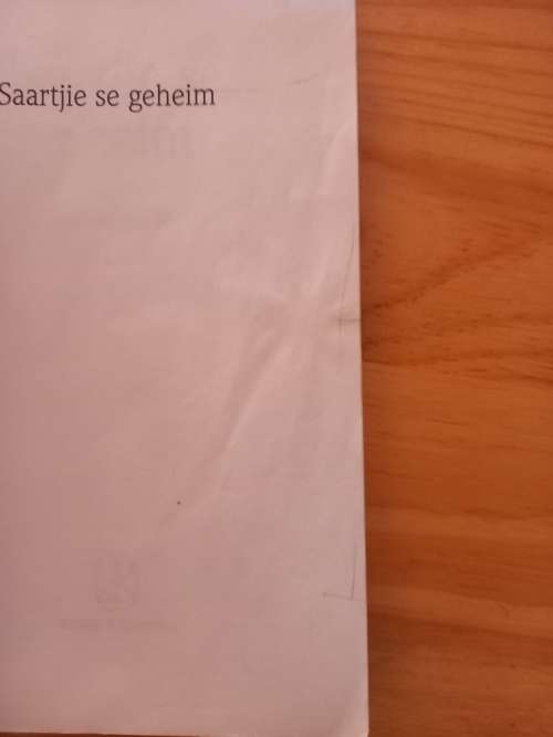 Saartjie se geheim (Boek 3) - Bettie Naudé