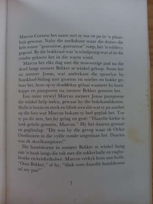 Marcus en die boks-handskoene - Marguerite Poland 1984