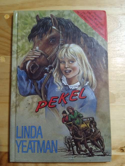 Pekel deur Linda Yeatman (1989)