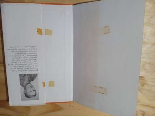 Buks en die stropersbende - John Coetzee (1973)