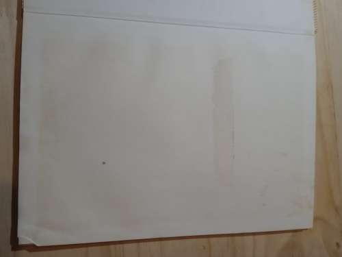 Die eerste Zoeloe-Konings Shaka en Dingane - Philip Gon en Rosemary Mulholland (1985)