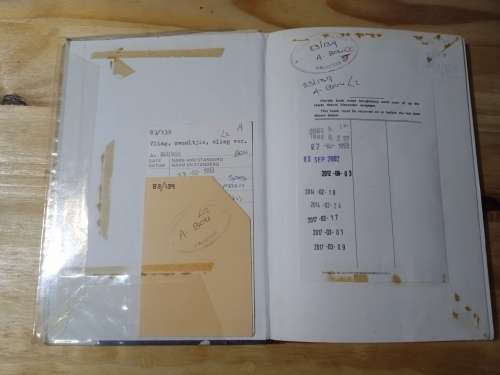 Vlieg, swaeltjie, vlieg ver - Alba Bouwer (1983)