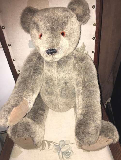60cm teddy bear