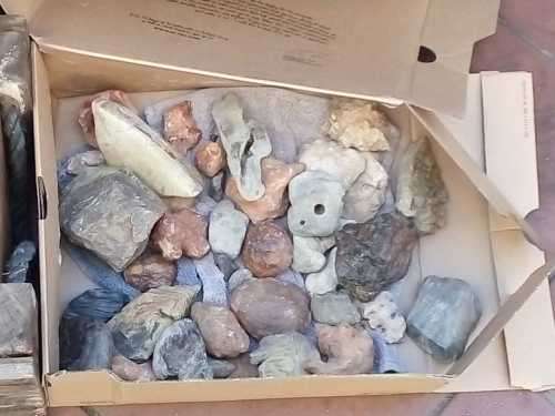 Fossils and Rocks
