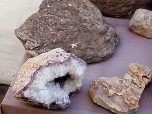 Fossils and Rocks