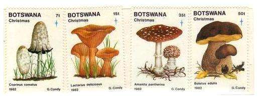 BOTSWANA - CHRISTMAS 1982 - SET OF 4 FINE USED STAMPS