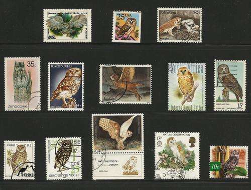 THEMATICS  - OWLS FROM AROUND THE WORLD