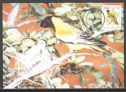 CISKEI: SACC 56: POSTCARD NO 10: 11c ADDITIONAL VALUE DEFINITIVE SERIES DATED 2.4.1984