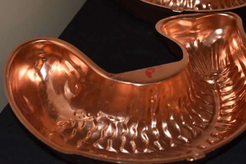 4 Large Copper Coloured Fish Moulds