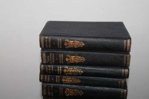 Set of 13 Leather Bound Charles Dickens