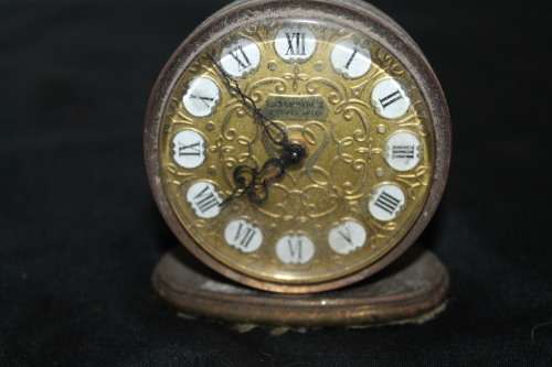 Looping Swiss Travel Alarm clock