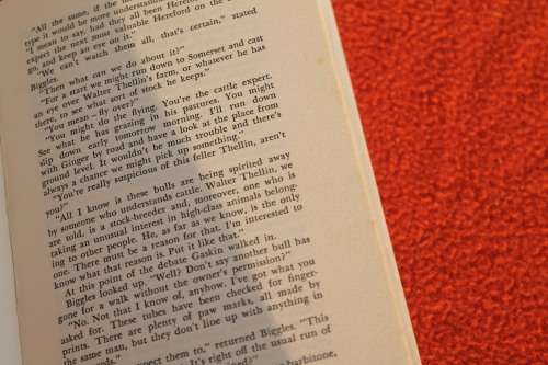 Captain W E Johns Biggles Scores a Bull