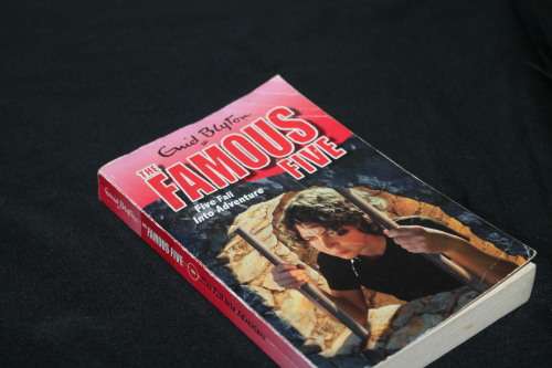 Enid Blyton Famous Five Fall into Adventure