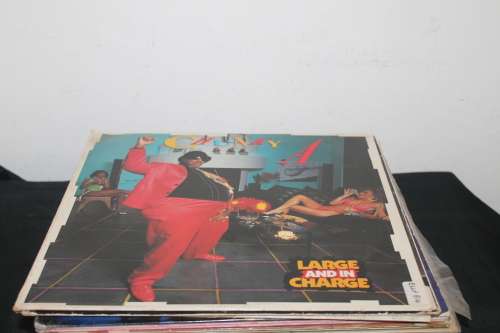 Chucky A Large and in Charge