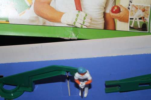 Test Match Cricket Game