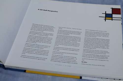 Citi Golf  Re in car nation