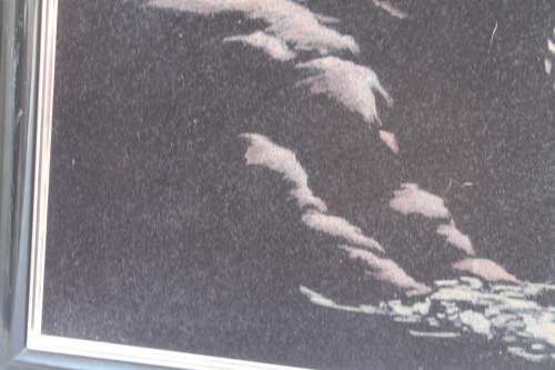 Vintage Velvet Painting