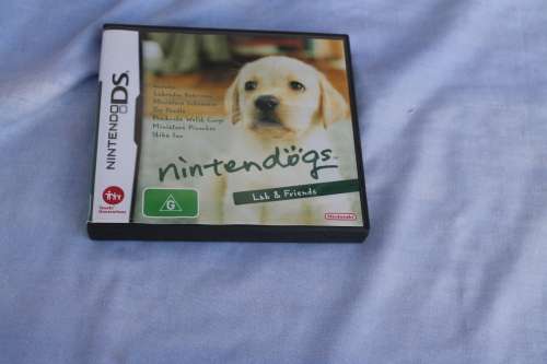 Nintendo DS Lab and friends