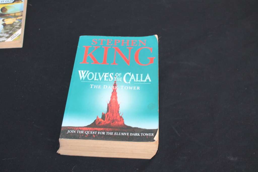 Stephen King Wolves of Calla
