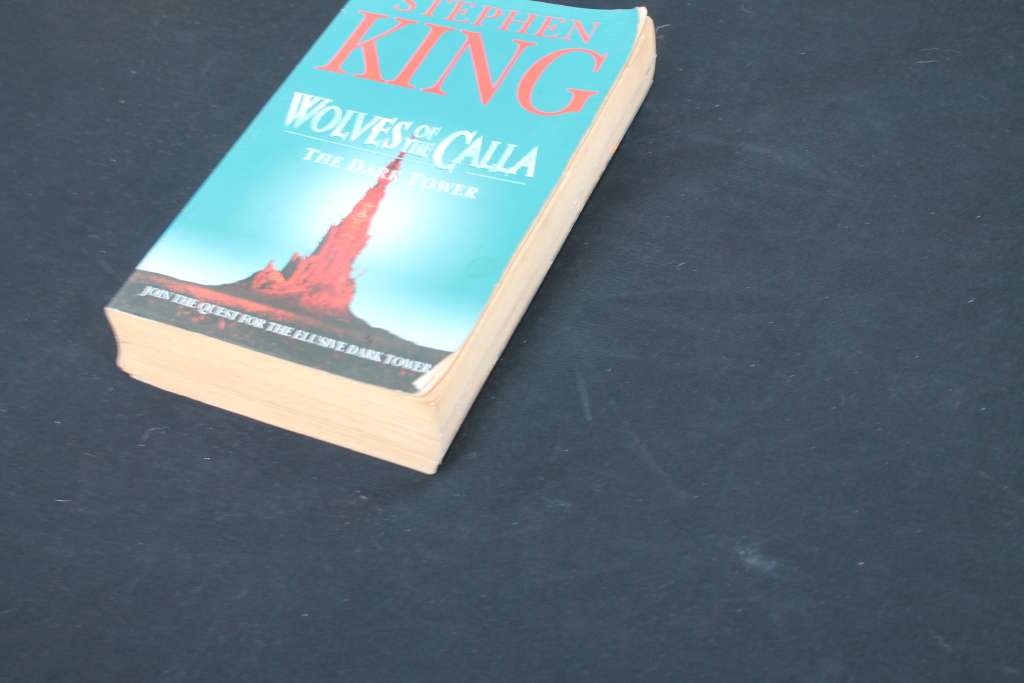 Stephen King Wolves of Calla