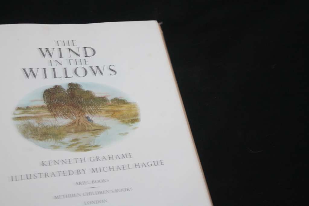 The wind in the willows