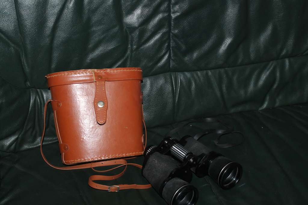 Binoculars in hard leather Case