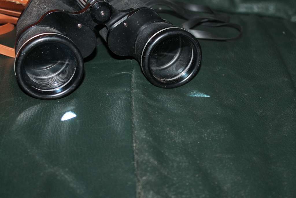 Binoculars in hard leather Case