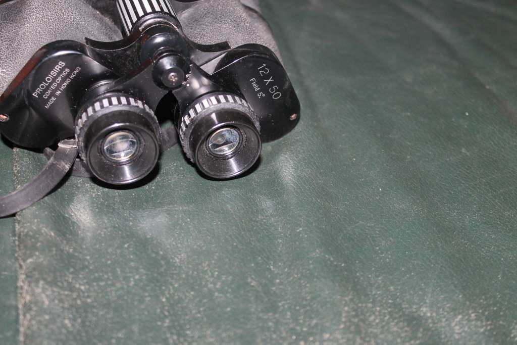 Binoculars in hard leather Case