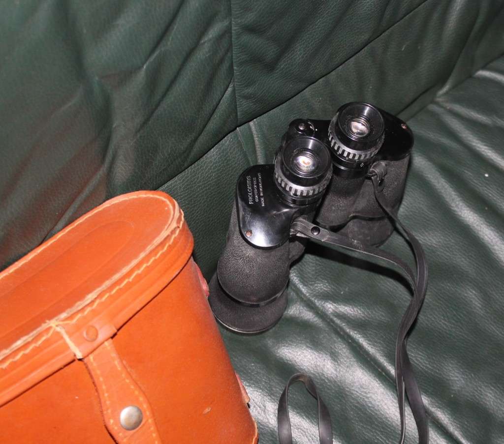 Binoculars in hard leather Case