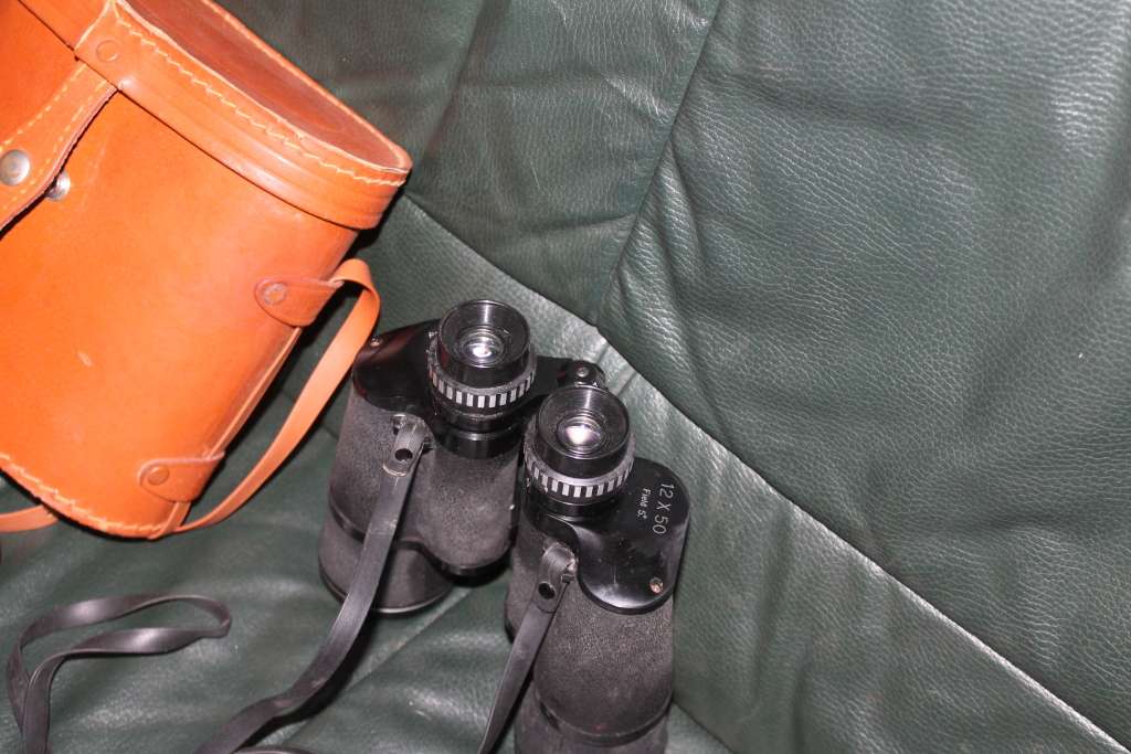 Binoculars in hard leather Case