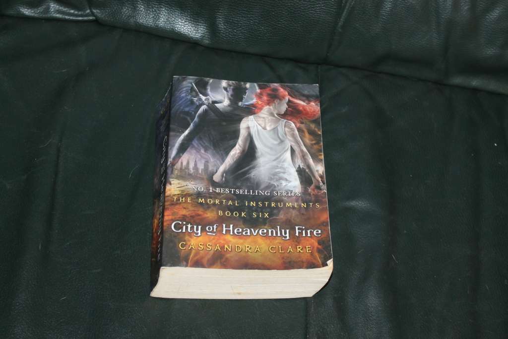 Cassandra Clarke Clockwork Angel & City of Heavenly Fire