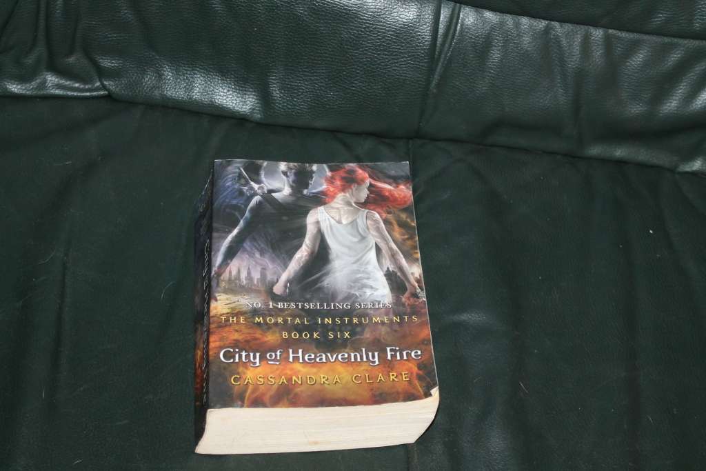 Cassandra Clarke Clockwork Angel & City of Heavenly Fire