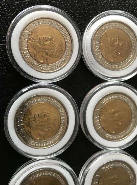 *** MANDELA R5 COINS - 2008 *** UNTOUCHED & ENCAPSULATED ***