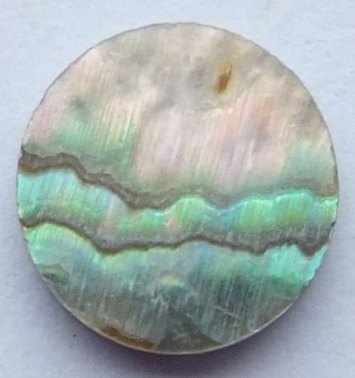 NATURAL PAUA SHELL DISC - 8MM