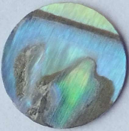 NATURAL PAUA SHELL DISC - 8MM