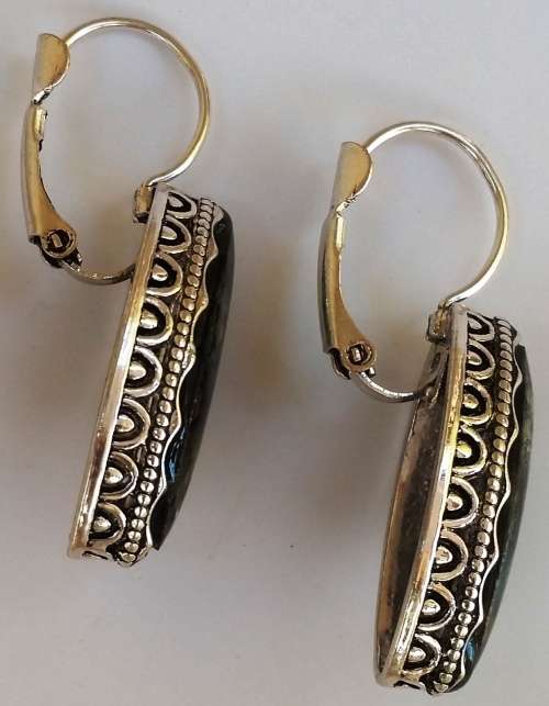 Paua Shell Silver Fashion Earrings