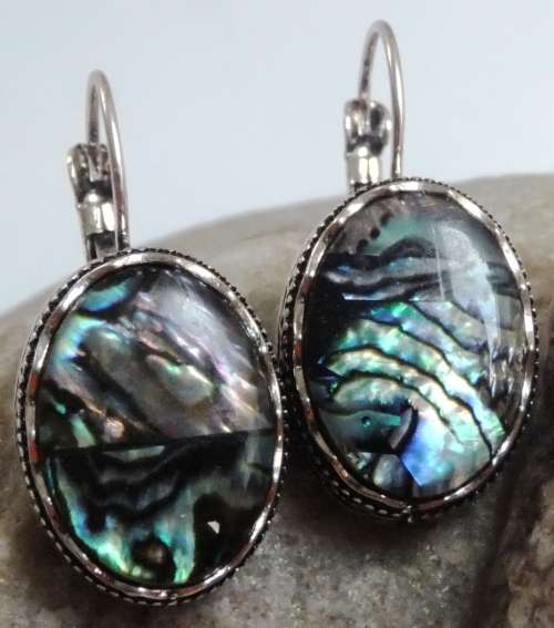 Paua Shell Silver Fashion Earrings