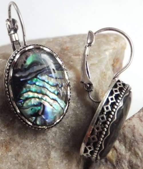 Paua Shell Silver Fashion Earrings