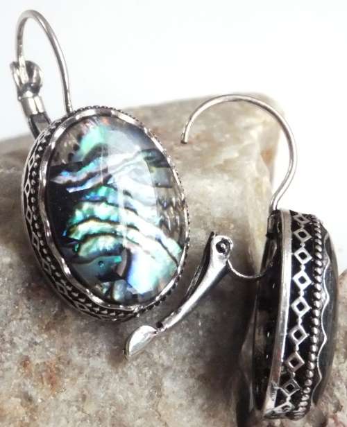 Paua Shell Silver Fashion Earrings